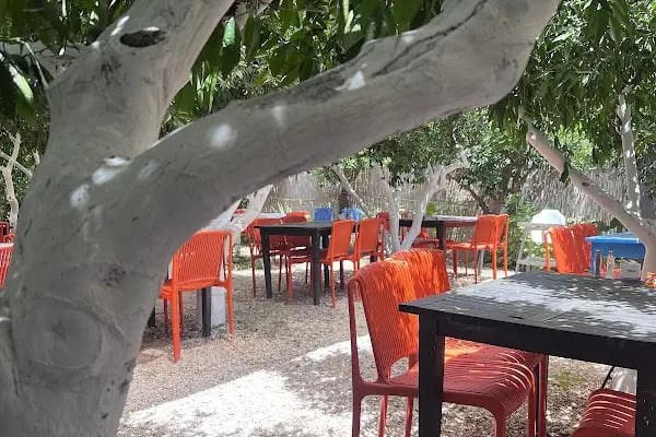 Kuytu Bahçe Bodrum - Resim 6