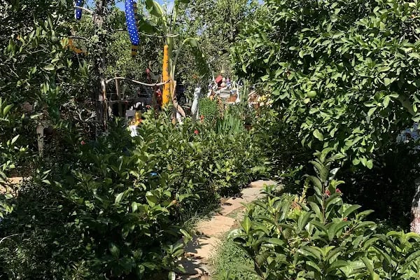 Kuytu Bahçe Bodrum - Resim 9