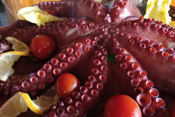 On-Et Balık Restoran Şakran - Resim 4