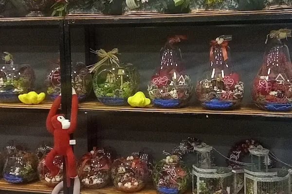 Arnavutköy Çiçek Bahçesi - Resim 3