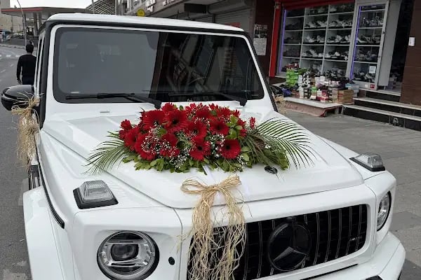 Arnavutköy Çiçek Bahçesi - Resim 1