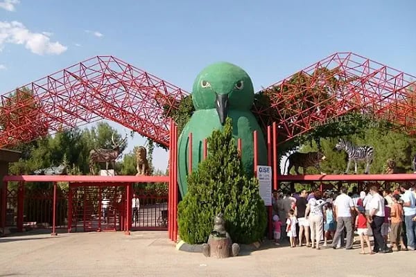 Gaziantep Hayvanat Bahçesi Binicilik & Pony Club - Resim 3
