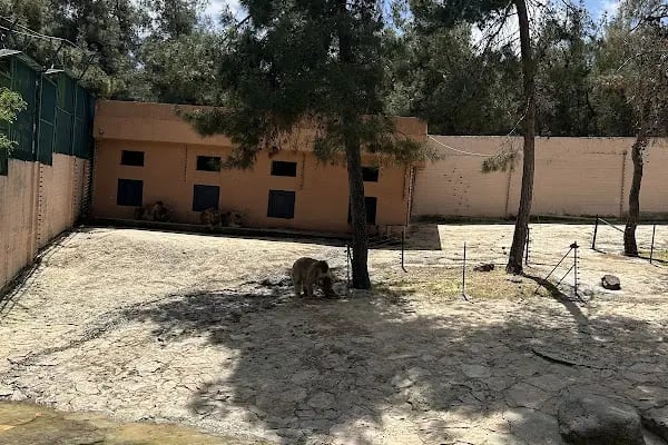 Gaziantep Hayvanat Bahçesi Binicilik & Pony Club - Resim 20