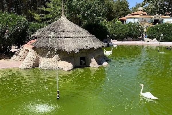 Gaziantep Hayvanat Bahçesi Binicilik & Pony Club - Resim 9