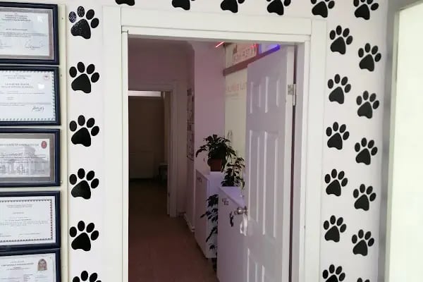 Patili Günler Veteriner Kliniği - Resim 11