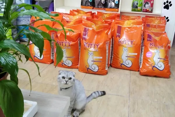 Patili Günler Veteriner Kliniği - Resim 10