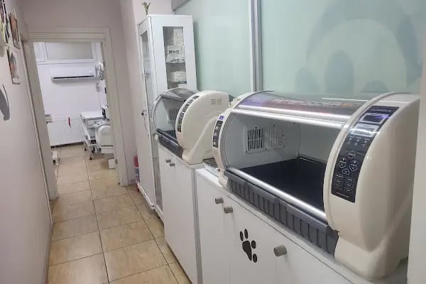 Patili Günler Veteriner Kliniği - Resim 5