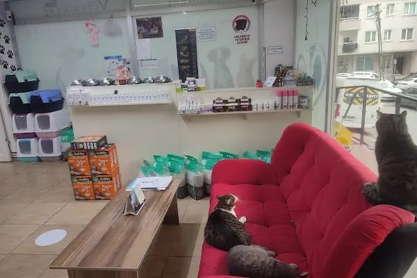 Patili Günler Veteriner Kliniği - Resim 17
