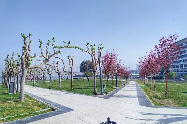 Konak İskele Tramvay Durağı - Resim 6