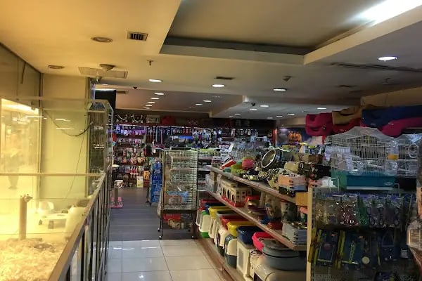 K9 Avrupa Evcil Hayvan Çiftliği - Resim 4
