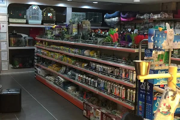 K9 Avrupa Evcil Hayvan Çiftliği - Resim 15