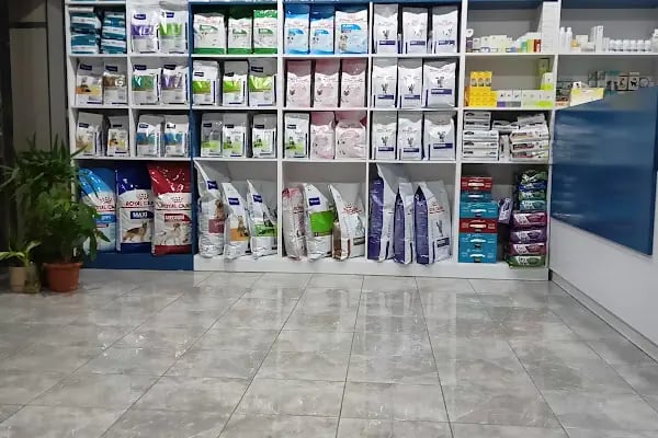 Dobby Veteriner Polikliniği I 7/24 Acil Veteriner I Ataevler Veteriner I Nilüfer Veteriner I Nöbetçi Veteriner - Resim 12