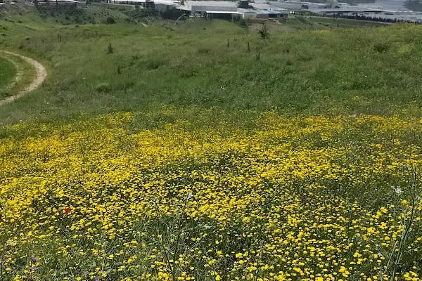 Kahramanmaraş Organize Sanayi Bölgesi Müdürlüğü - Resim 5