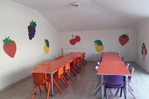 Özel Bilgi Çağı Anaokulu - Resim 10