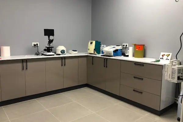 Petkey Veteriner Kliniği (Yeni Batı) - Resim 5