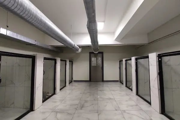 Petkey Veteriner Kliniği (Yeni Batı) - Resim 16