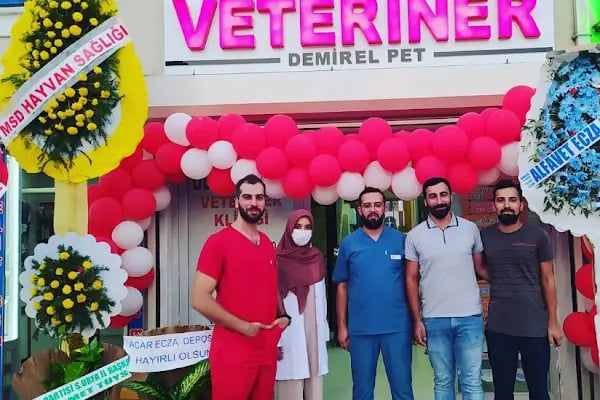 Demirel Pet Veteriner Kliniği - Resim 3