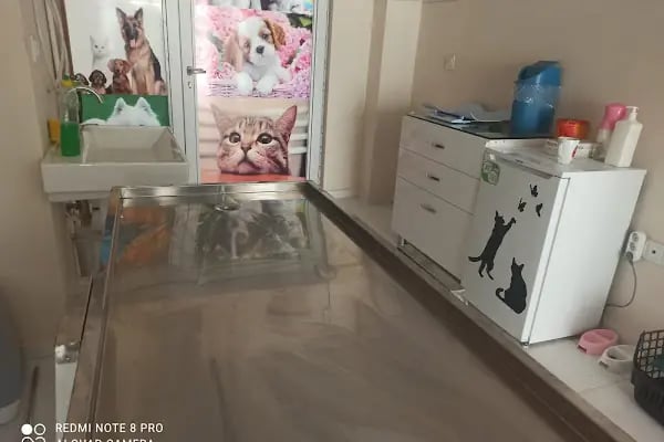 Demirel Pet Veteriner Kliniği - Resim 17
