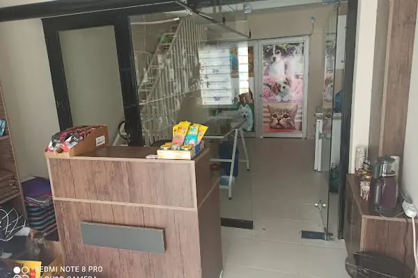 Demirel Pet Veteriner Kliniği - Resim 16