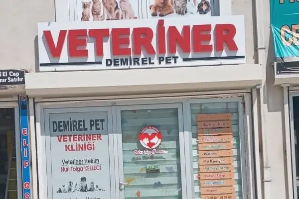 Demirel Pet Veteriner Kliniği - Resim 12