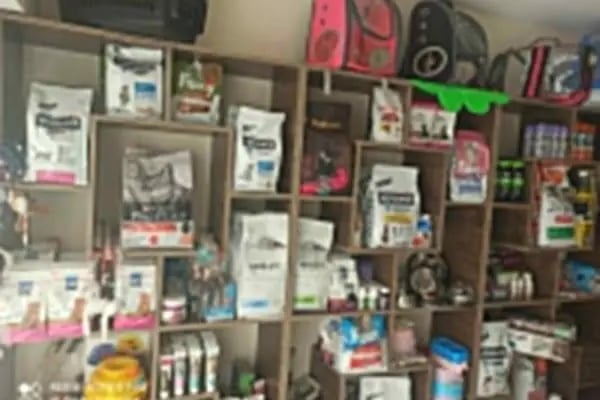 Demirel Pet Veteriner Kliniği - Resim 15