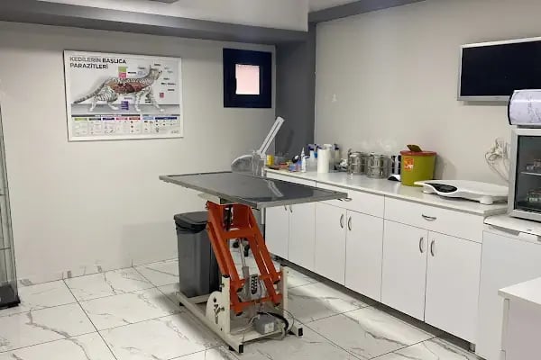 Buca Vet Veteriner Kliniği - Resim 10
