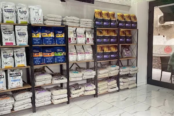 Buca Vet Veteriner Kliniği - Resim 17