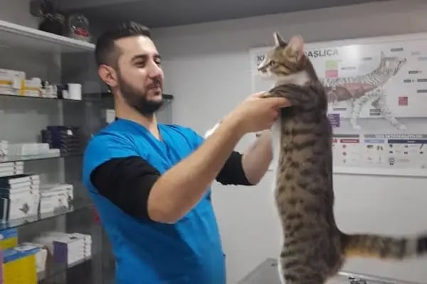 Buca Vet Veteriner Kliniği - Resim 15