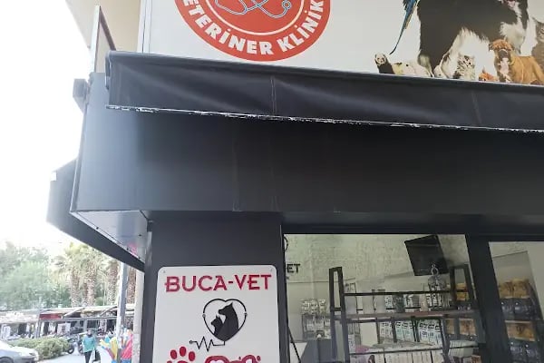 Buca Vet Veteriner Kliniği - Resim 6
