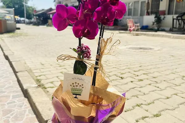 Gemlik Yazel Çiçekçilik - Resim 7