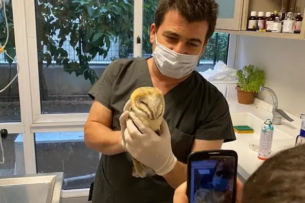 Adana Seyhan Veteriner Kliniği - Resim 3