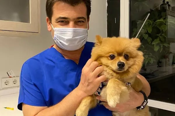 Adana Seyhan Veteriner Kliniği - Resim 14