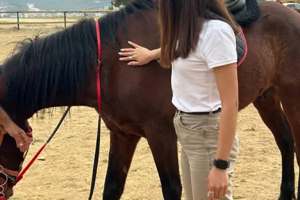 ALANYA ATLI SPOR KLÜBÜ - Resim 5