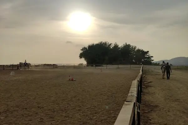 ALANYA ATLI SPOR KLÜBÜ - Resim 17