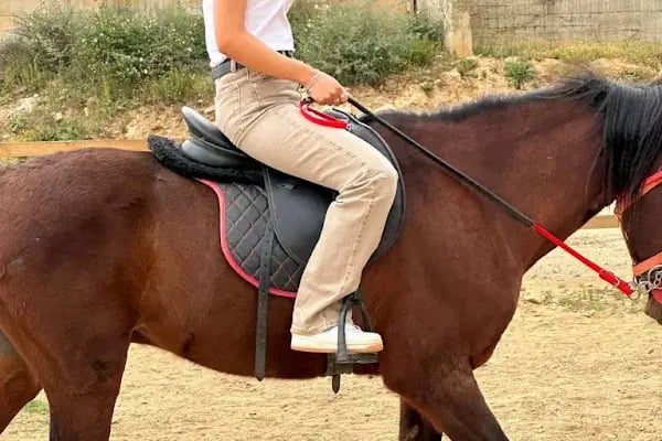ALANYA ATLI SPOR KLÜBÜ - Resim 7