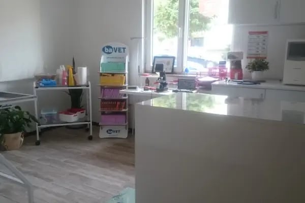 GÖRÜKLE VETERİNER - Resim 19