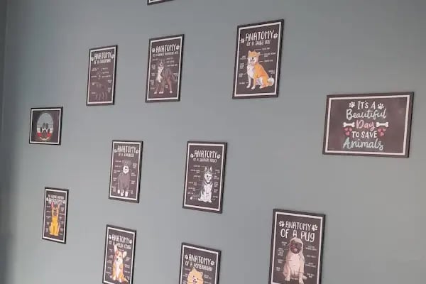 Çerkezkoy Petlife Veteriner Kliniği - Resim 13