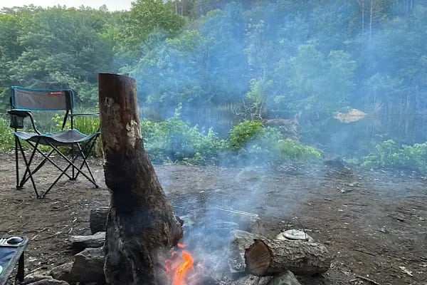 Çamlıköy Tabiat Parkı - Resim 9