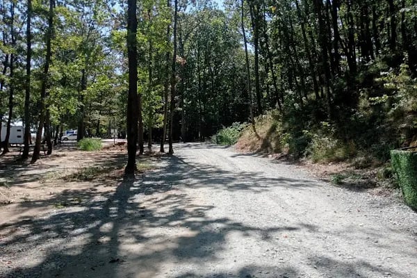 Çamlıköy Tabiat Parkı - Resim 6