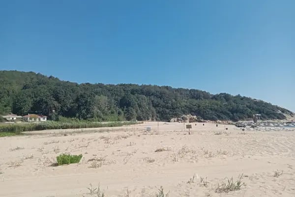 Çamlıköy Tabiat Parkı - Resim 15