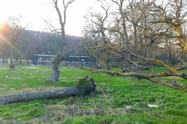 Çamlıköy Tabiat Parkı - Resim 17