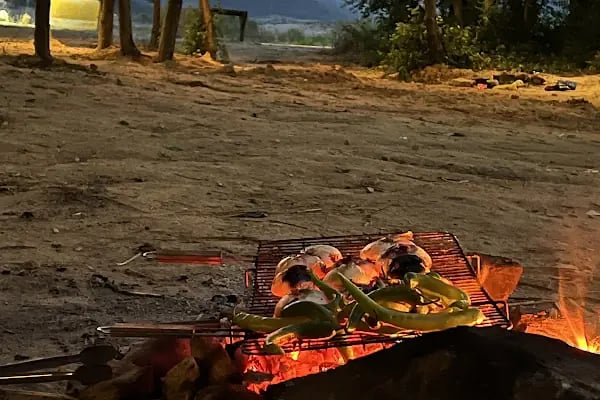 Çamlıköy Tabiat Parkı - Resim 12