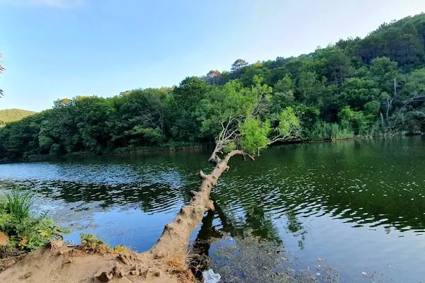 Çamlıköy Tabiat Parkı - Resim 2
