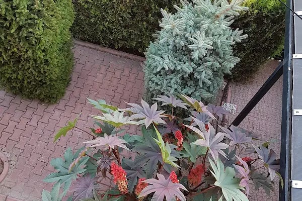 Kurtlar vadisi düğün salonu - Resim 15