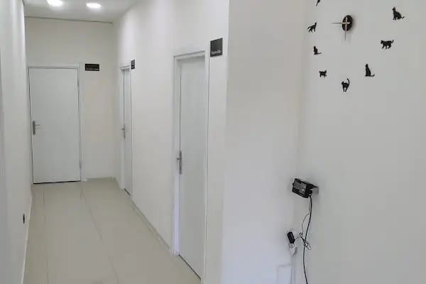 NEON VETERİNER KLİNİĞİ - Resim 6