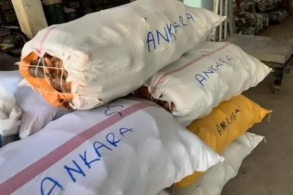 Mezra Ticaret ve Komisyon - Mezra patlıcanı Birecik patlıcanı satış noktası - Resim 9