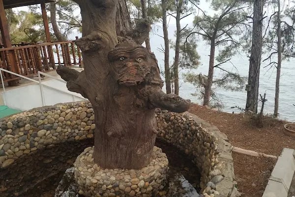 Pullu Tabİat Parkı - Resim 15