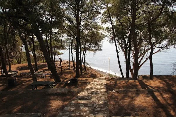 Pullu Tabİat Parkı - Resim 5