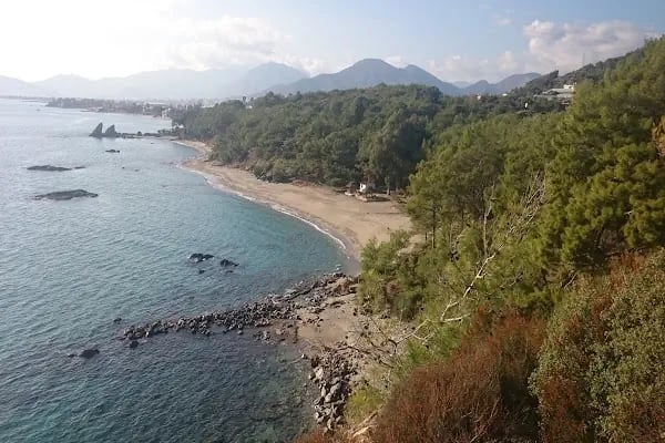 Pullu Tabİat Parkı - Resim 12