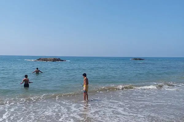Pullu Tabİat Parkı - Resim 10